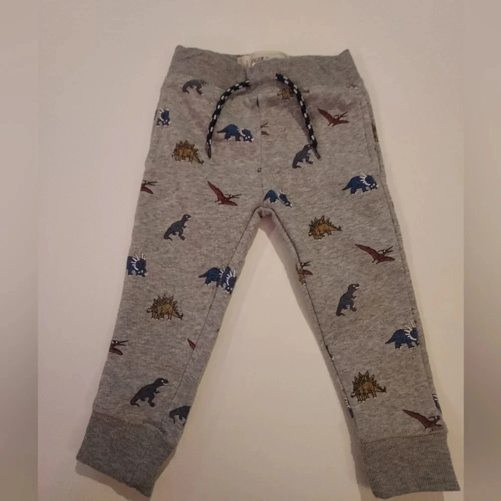 Free Plant Baby Boy 2 Piece Dinosaur Theme Hoodie and Jogger Set in Size 24M